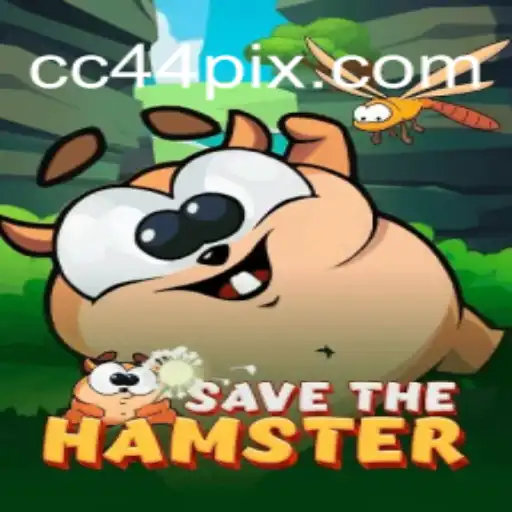 SavetheHamster: The Exciting World of CC44 Cassino❤️ Exploda nas Mesas!