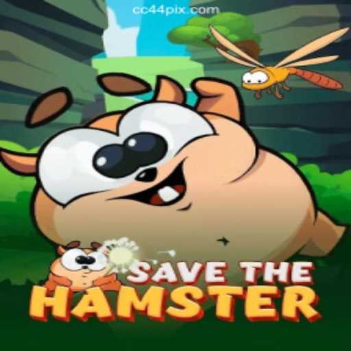SavetheHamster: The Exciting World of CC44 Cassino❤️ Exploda nas Mesas!